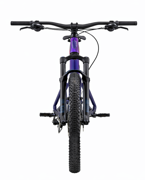 EMTB Enduro - Full Suspension Electric Mountain Bike - THERMOLUX  