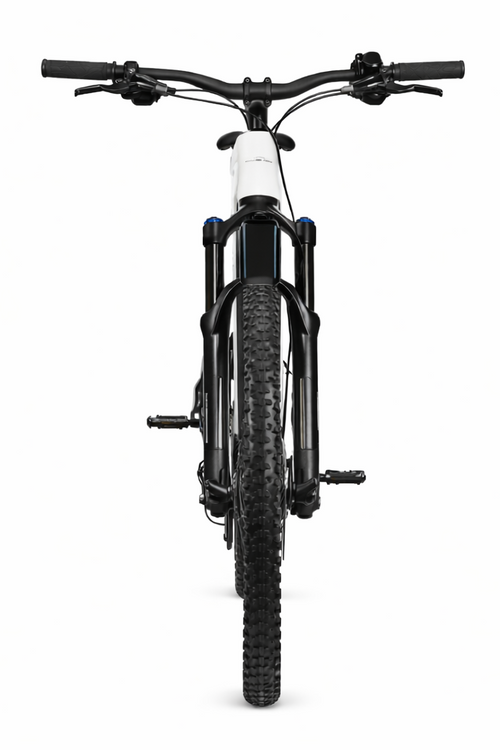 VÆLION Enduro - Premium Carbon Fiber Electric Mountain Bike - THERMOLUX  